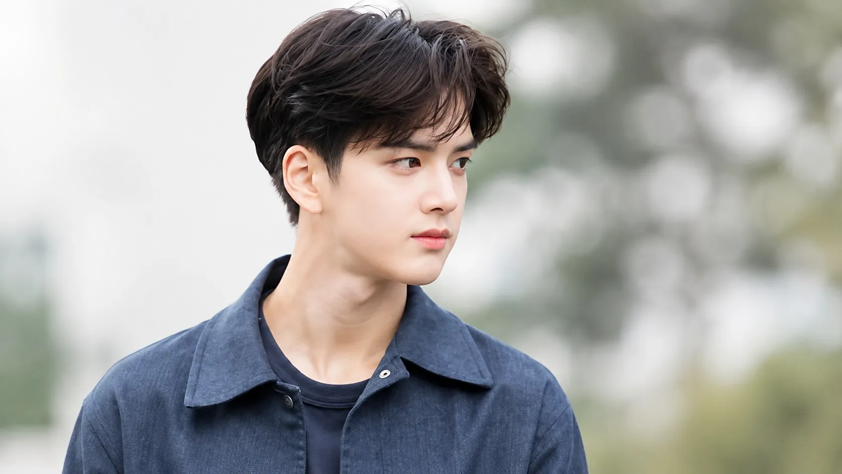 Korean Curtain Hairstyle &mdash; Parted Fringe Framing the Face